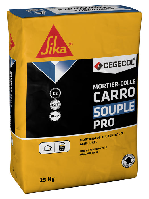 CARROSOUPLE PRO GRIS